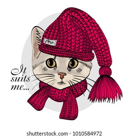 Vector cat with red knitted hat and red scarf. Hand drawn illustration of kitten.