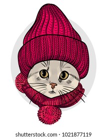 Vector cat with red knitted hat and red scarf. Hand drawn illustration of dressed cat.
