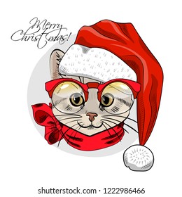 Vector cat - santa claus in a red cap  and scarf. Hand drawn illustration of dressed cat. Happy New Year. 2