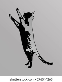 Vector Cat silhouette