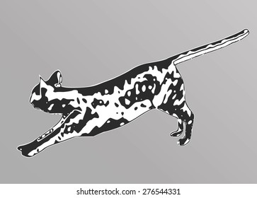 Vector Cat silhouette