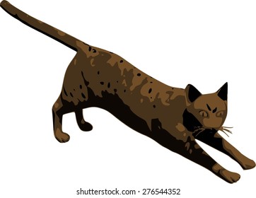 Vector Cat silhouette