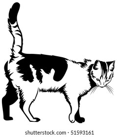 Vector cat silhouette