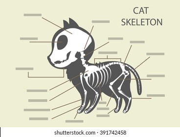 Vector Cat Skeleton Map