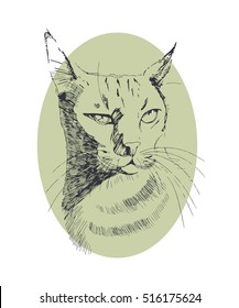 Vector. cat sketch.