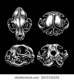 Vector cat skull cat silhouette vector illustration art