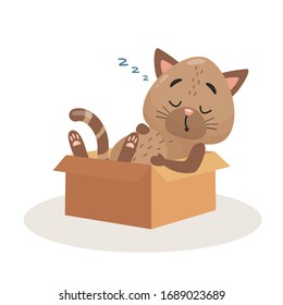 Vector cat sleeping in the box isolated on white background. Flat stock vector illustration.