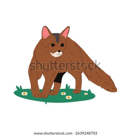Vector cat of somali breed. Fluffy meow animal. Purring kitten of or sociable puss. Aristocratic breeding of kitty. Domestic feline or domesticated pet. Furry purebred mammal. Biology, zoology, fauna.