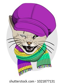 Vector cat with violet cap and knitted scarf. Hand drawn illustration of dressed cat.