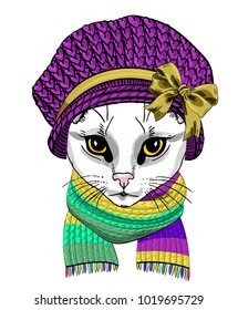 Vector cat with violet knitted hat and scarf. Hand drawn illustration of dressed cat.