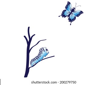 Vector Caterpillar Metamorphosis In Butterfly