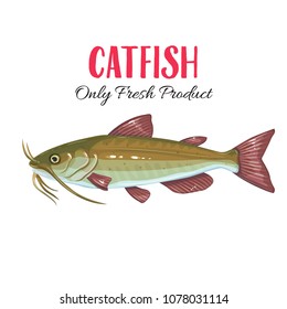 Vector catfish. Icon badge fish for design seafood packaging and market.