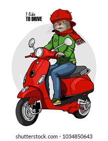 Vector cat-man with a red moped. Hand drawn illustration of dressed cat
