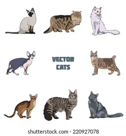 Vector cats