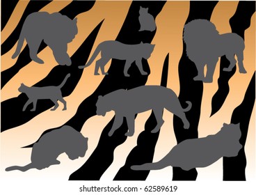 vector cats