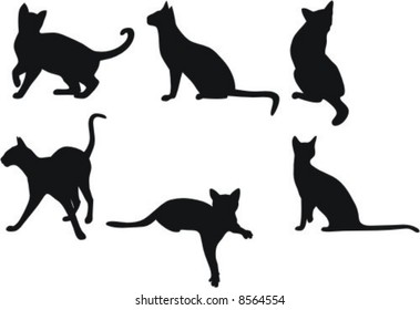 vector cats