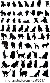 vector cats and dogs