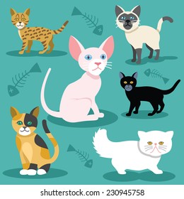 Vector cats flat icons Set. Cheshire, egypt, leopard, black, persian, scottish, siamese cat. Colorful illustration. Retro vintage stylish concept. Background with fish bones print.