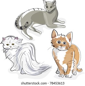 Vector cats illustration