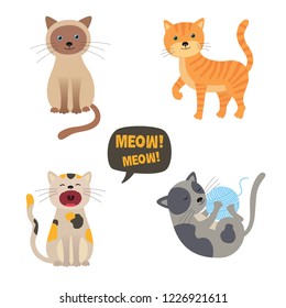 Vector cats. Set characters. Cute cat. Meow