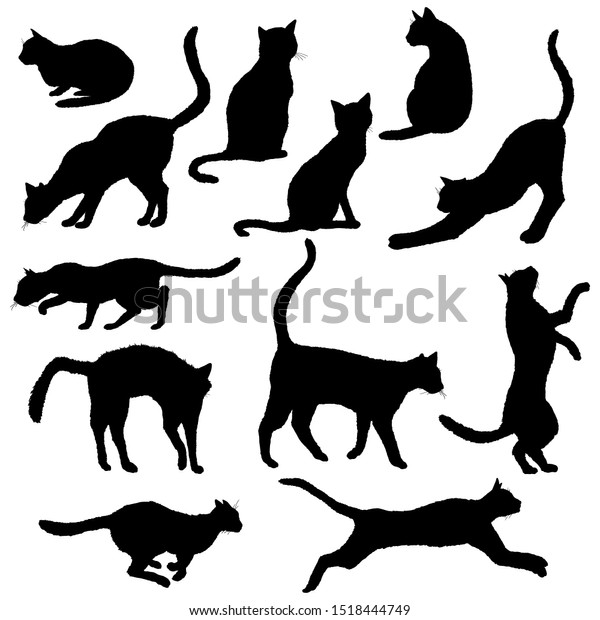 Vector Cats Silhouettes Black Feline Outline Stock Vector (Royalty Free ...