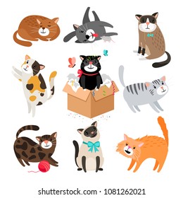 Vector cats. Simple cute cartoon drawing different cat collection isolated on white, sleeping and siamese, funny and black pet cats