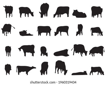 siluetas vectoriales de ganado negro sobre fondo blanco. diferentes poses de vacas pastoras