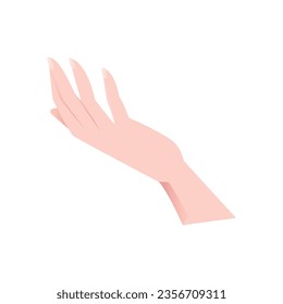 Vector caucasian female hand with open hand presenting hand vector