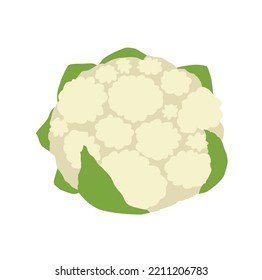 Vector cauliflower. Vegetable. Food for vegetarians. Farm. Cabbage. icon.