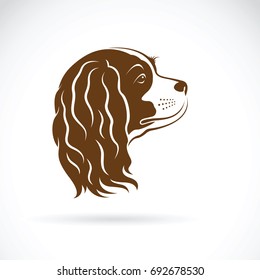 Vector of Cavalier King Charles Spaniel dog on white background. Pet Animal. Dog head.