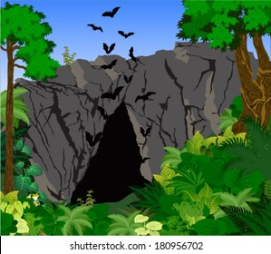 Vector cave with bats in tropical rainforest Jungle