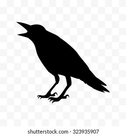 vector Cawing raven, Silhouette of the crow standing.