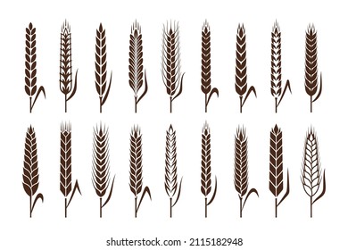 Vector cereal crops icons. Wheat, oat, rye and barley symbols