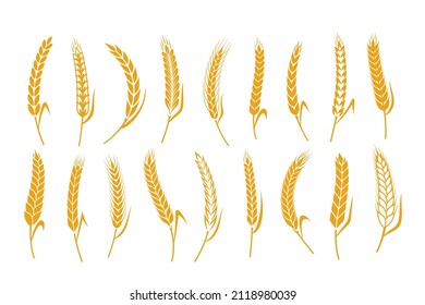 Vector cereal crops icons. Wheat, oat, rye and barley symbols