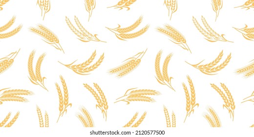 Vector cereal crops seamless pattern with wheat, oat, rye and barley ears