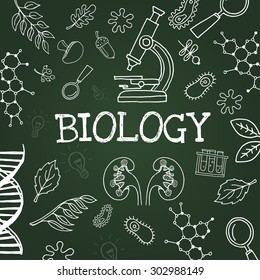 Vector chalk draw biology elements on green background. Eps10