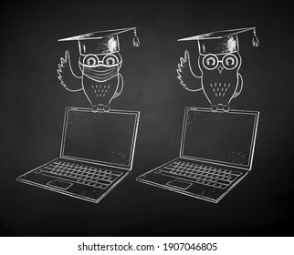 Vector chalk drawn black and white illustrations of student owl sitting on laptop with and without face mask on chalkboard background.