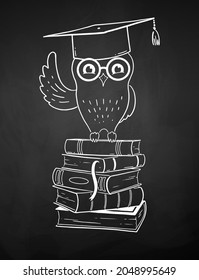 Vector chalk drawn illustration of owl sitting on books wearing mortarboard. Education symbol isolated of chalkboard background.