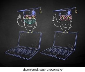Vector chalk drawn illustrations of student owl sitting on laptop with and without face mask on black chalkboard background.