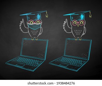 Vector chalk drawn illustrations of student owl sitting on laptop with and without face mask on black chalkboard background.