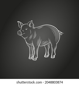 Vector chalk drawn pig isolated on black background, engraving style, illustration of farm animal, standing pig.
