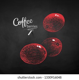 Vector chalk drawn sketche of whole coffee berries on chalkboard background.
