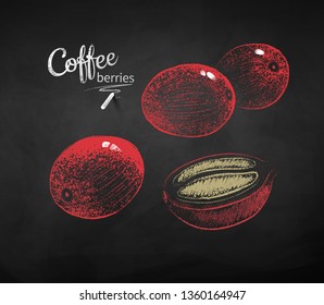 Vector chalk drawn sketches set of coffee berries on chalkboard background.