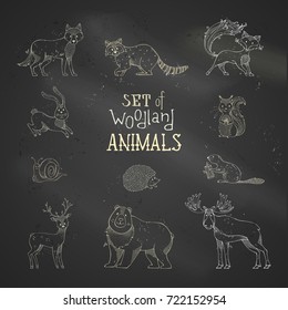 Vector chalk set of wild woodland animals on blackboard background. Cute deer, fox, hare, squirrel, hedgehog, moose, snail, wolf, beaver, bear and raccoon. Hand-drawn collection of mammals and bird.