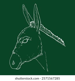 Vector Chalk Sketch Donkey Head. Side View Illustration.