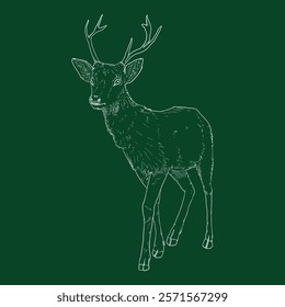 Vector Chalk Sketch Head of Deer. Side View.