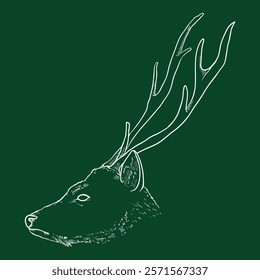 Vector Chalk Sketch Head of Deer. Side View.