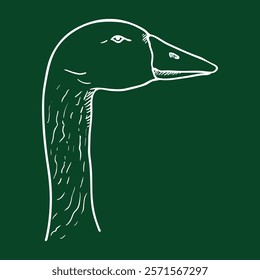 Vector Chalk Sketch Illustration of Goose Head