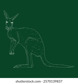 Vector Chalk Sketch Illustration of Standing Kangaroo