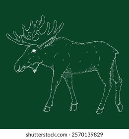 Vector Chalk Sketch Moose Illustration. Side View